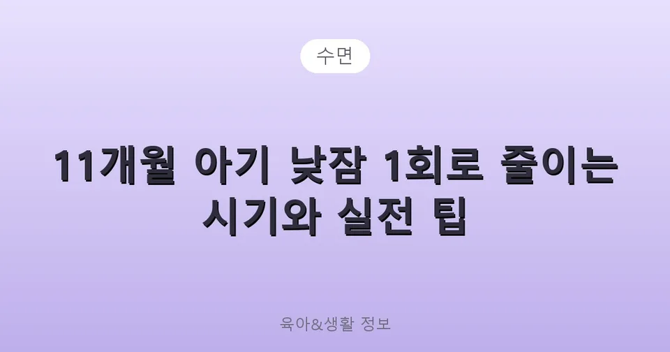 11개월 아기 낮잠 1회로 줄이는 시기와 실전 팁