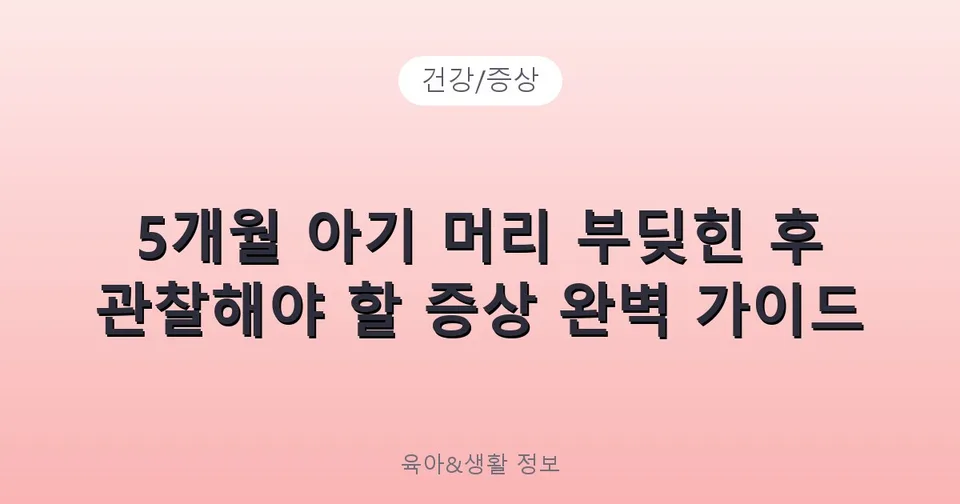5개월 아기 머리 부딪힌 후 관찰해야 할 증상 완벽 가이드
