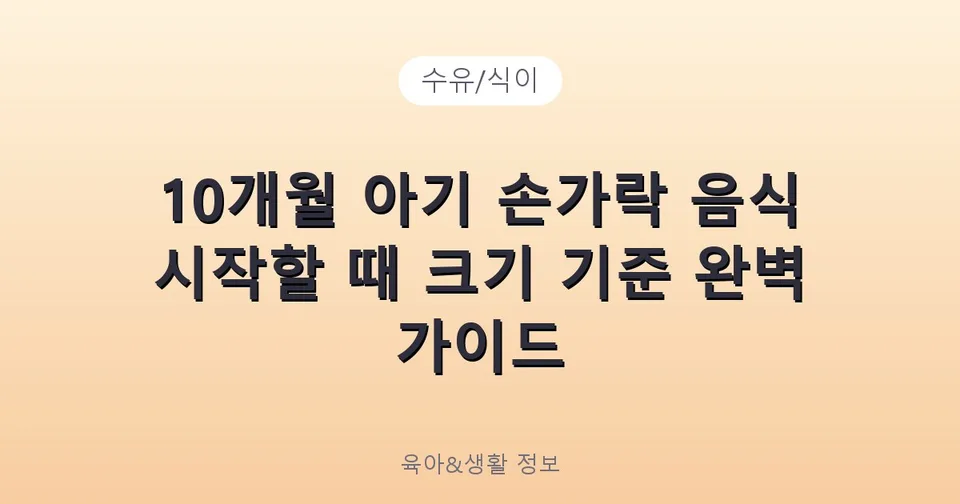10개월 아기 손가락 음식 시작할 때 크기 기준 완벽 가이드